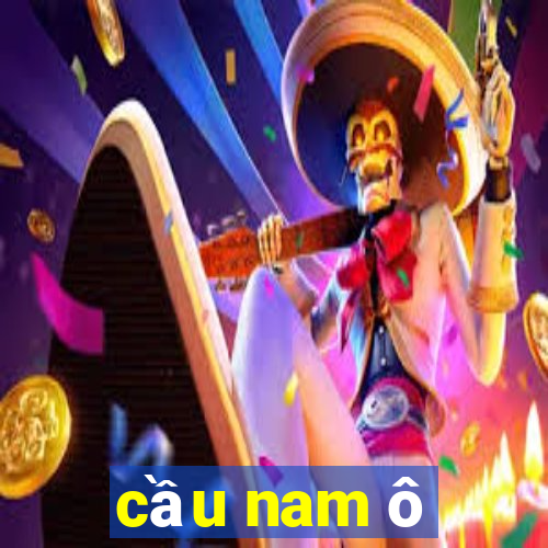 cầu nam ô