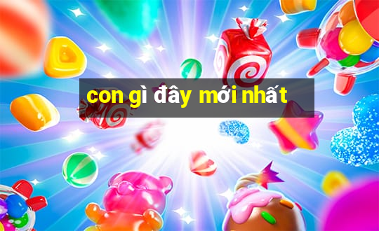 con gì đây mới nhất