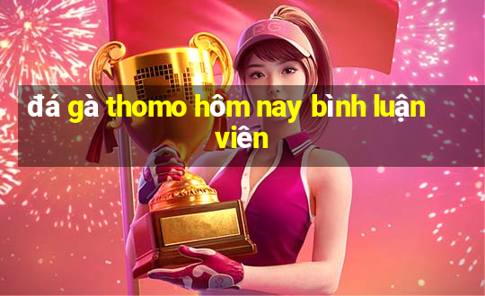 đá gà thomo hôm nay bình luận viên