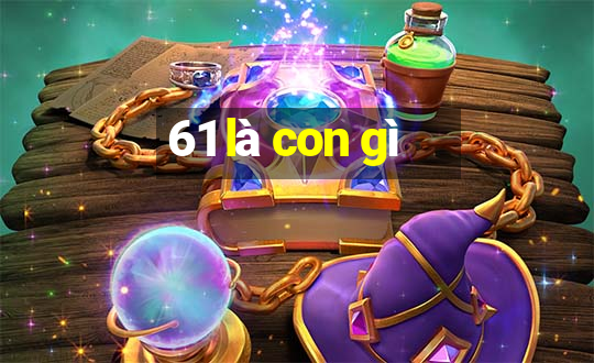 61 là con gì