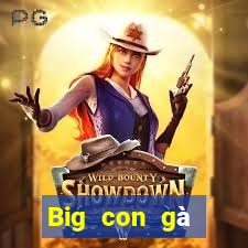 Big con gà trống tải về