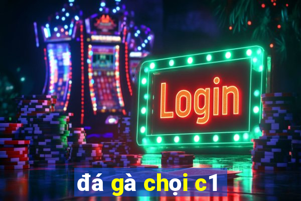 đá gà chọi c1