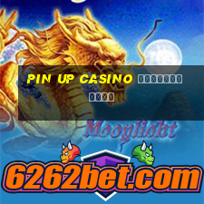 pin up casino украина вход