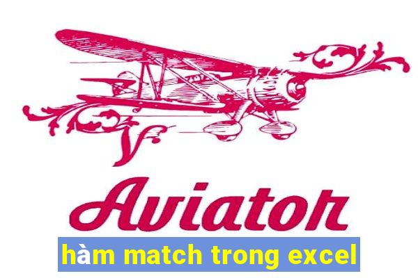 hàm match trong excel