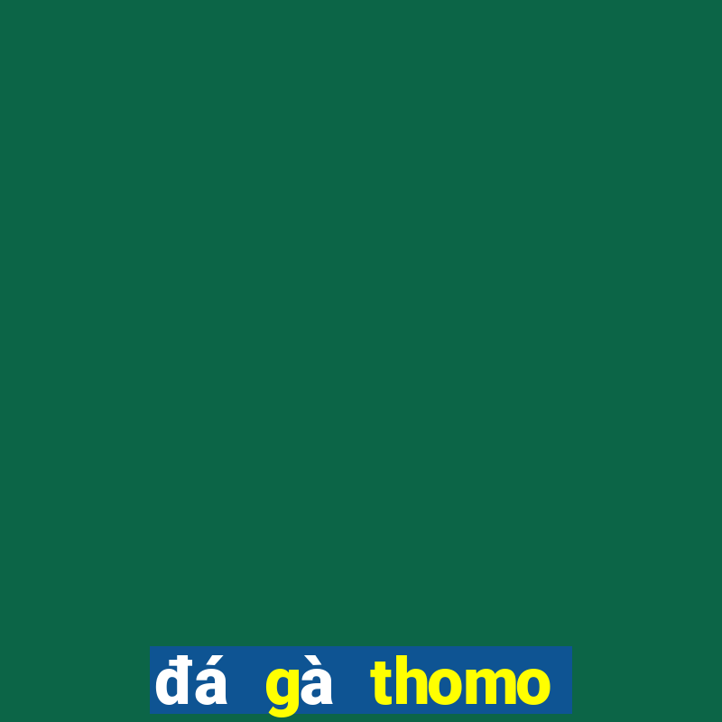 đá gà thomo trận 34 hôm nay