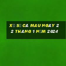 xổ số cà mau ngày 22 tháng 1 năm 2024