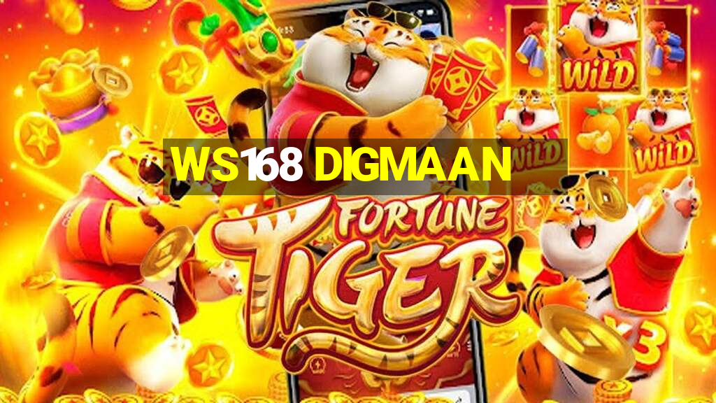 WS168 DIGMAAN