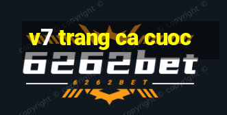 v7 trang ca cuoc