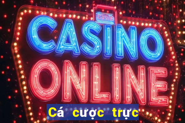 Cá cược trực tuyến King fun