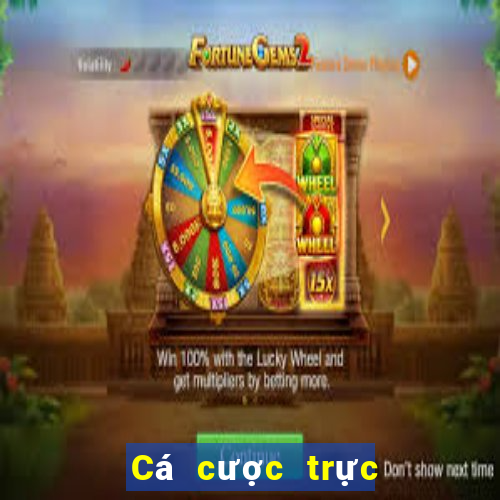 Cá cược trực tuyến King fun