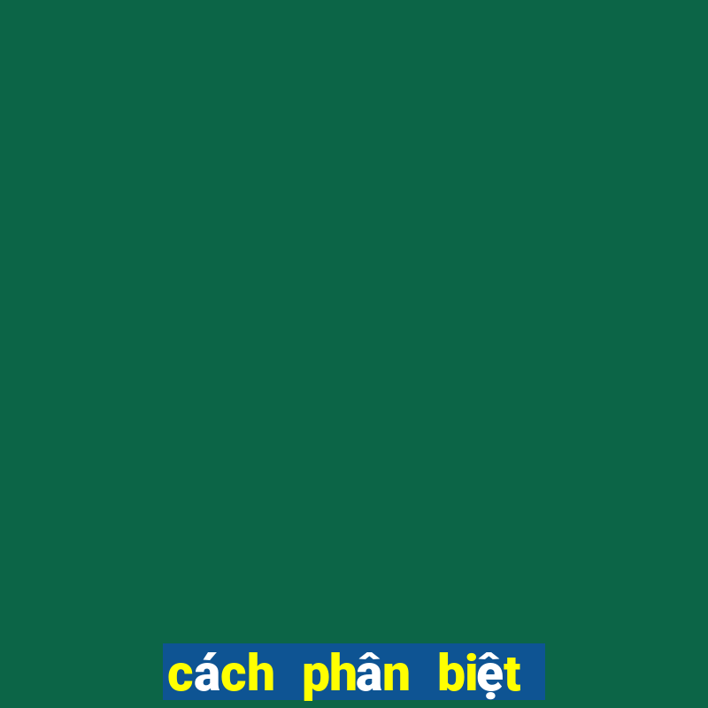 cách phân biệt bar pub club