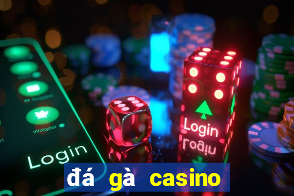 đá gà casino cửa sắt