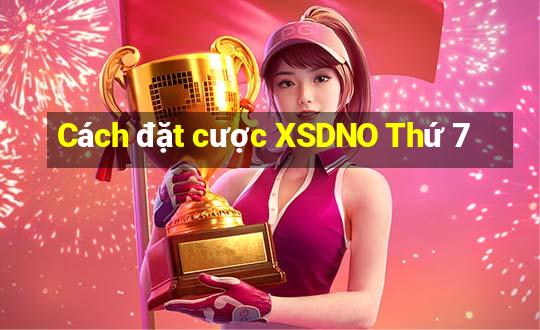 Cách đặt cược XSDNO Thứ 7