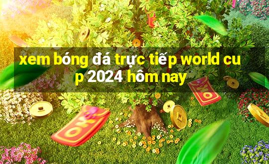 xem bóng đá trực tiếp world cup 2024 hôm nay