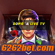 bóng đá live tv