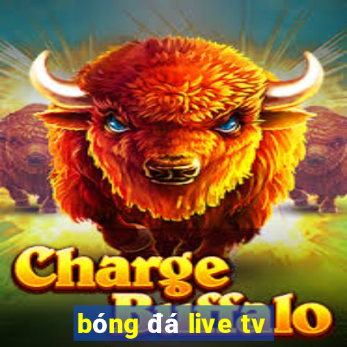 bóng đá live tv