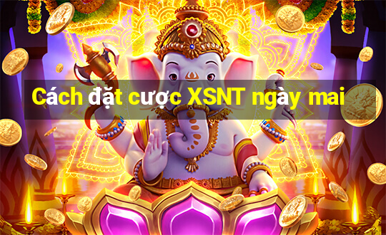 Cách đặt cược XSNT ngày mai