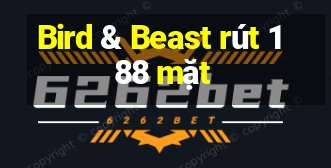 Bird & Beast rút 188 mặt