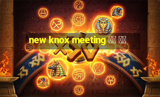 new knox meeting 녹스 미팅