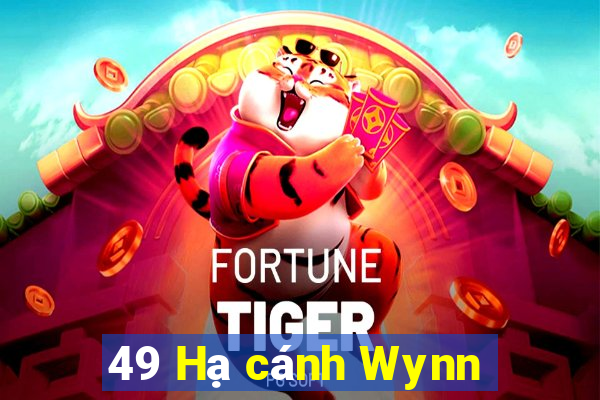 49 Hạ cánh Wynn