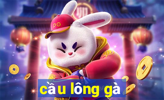 cầu lông gà