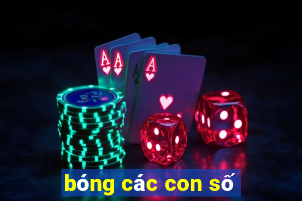 bóng các con số