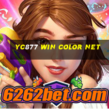 yc877 Win Color Net