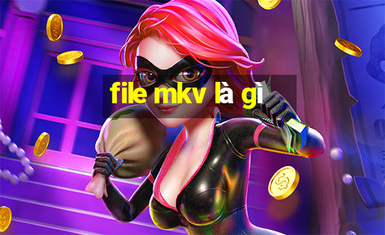 file mkv là gì