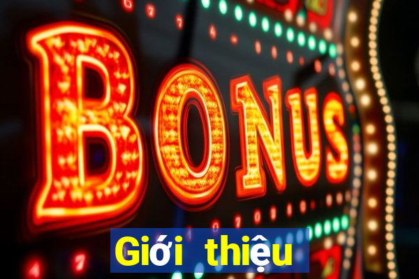 Giới thiệu cách chơi xổ số miền nam