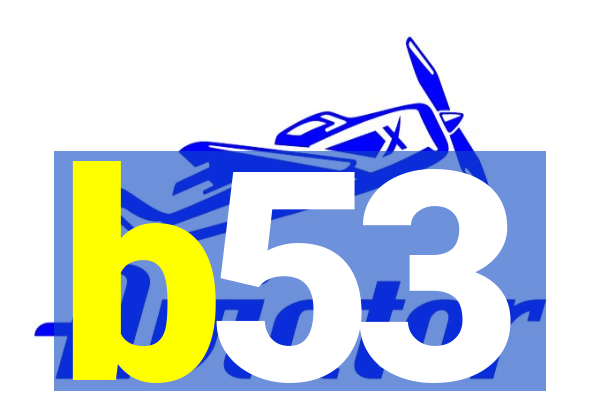 b53