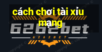 cách chơi tài xỉu mạng