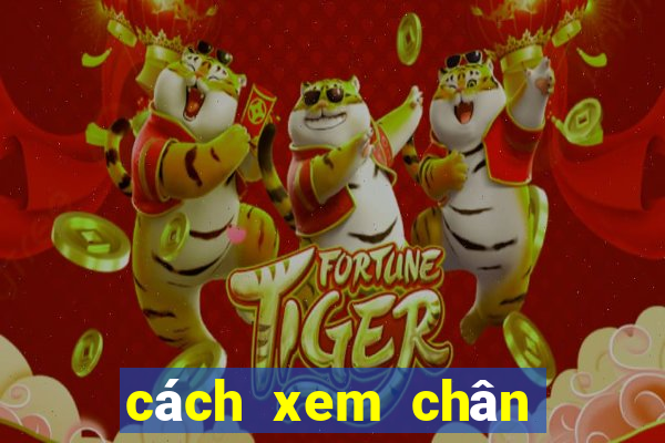 cách xem chân vảy gà chọi phần 1