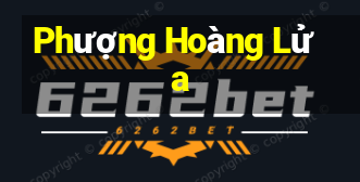 Phượng Hoàng Lửa