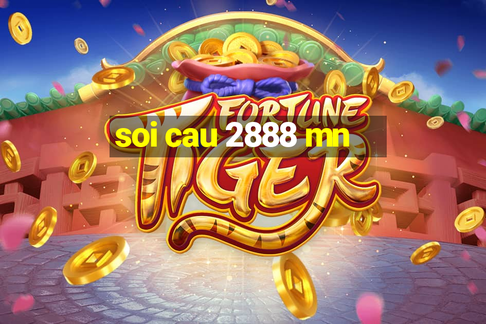 soi cau 2888 mn