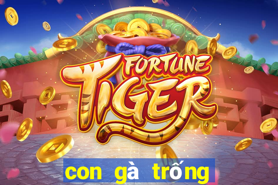 con gà trống số mấy