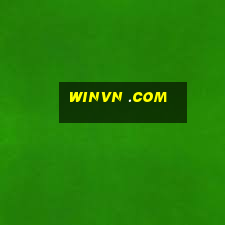 winvn .com