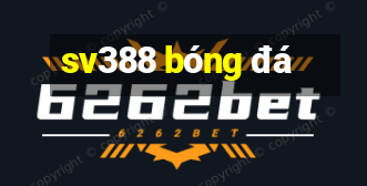 sv388 bóng đá