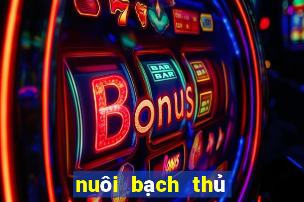 nuôi bạch thủ lô khung 3 ngày