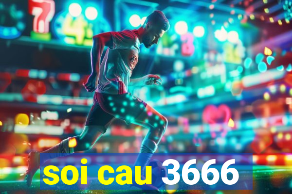 soi cau 3666