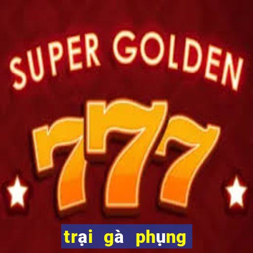 trại gà phụng hoàng kê 2019