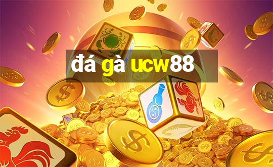 đá gà ucw88