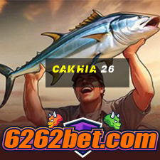 cakhia 26