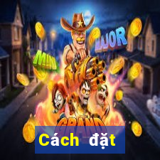 Cách đặt cược XSDN ngày 29