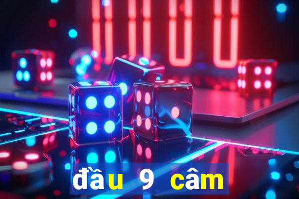 đầu 9 câm đánh lô gì