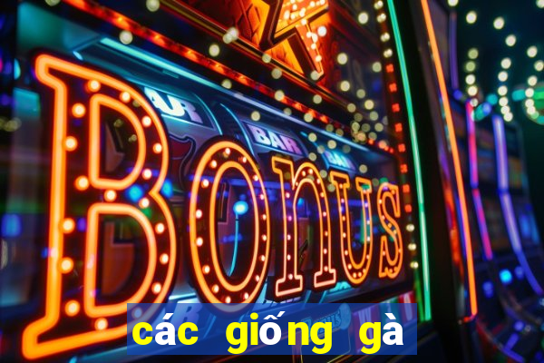 các giống gà đá trên thế giới