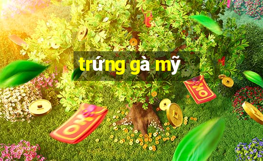 trứng gà mỹ