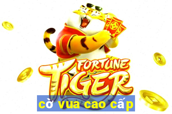 cờ vua cao cấp